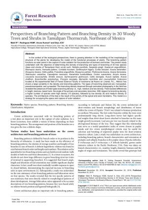 Perspectives of Branching Pattern and Branching Density in 30 Woody Trees and Shrubs in Tamulipan Thornscrub, Northeast of Mexic