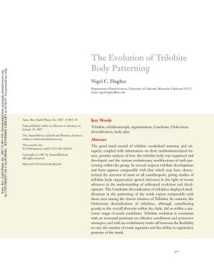 The Evolution of Trilobite Body Patterning