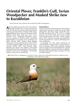 Oriental Plover, Franklin's Gull, Syrian Woodpecker and Masked Shrike New to Kazakhstan
