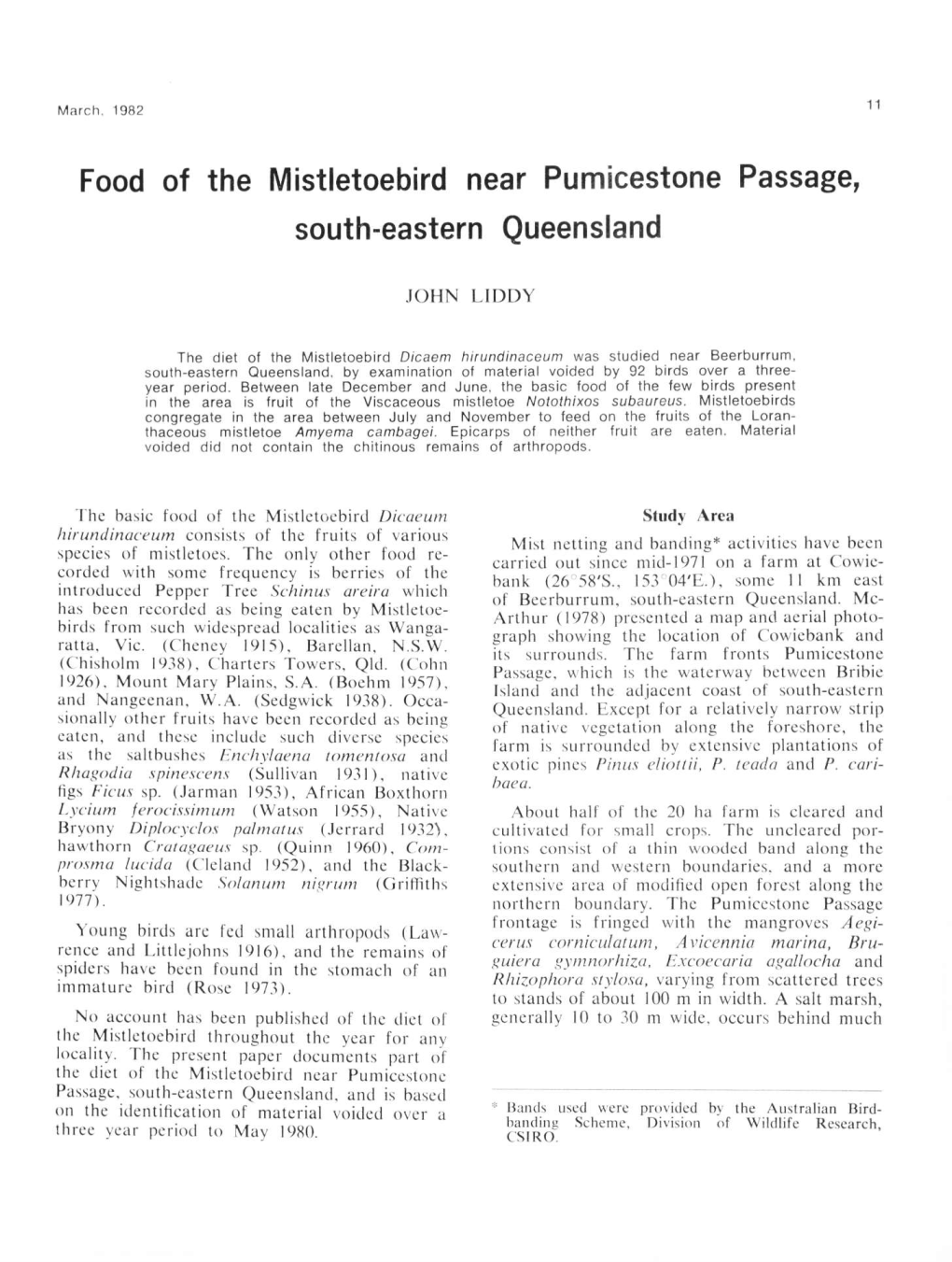 Food of the Mistletoebird Near Pumicestone Passage