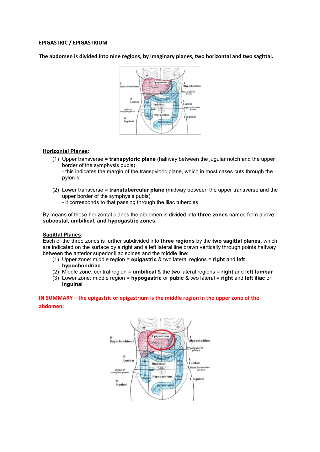 EPIGASTRIC / EPIGASTRIUM the Abdomen Is Divided Into Nine