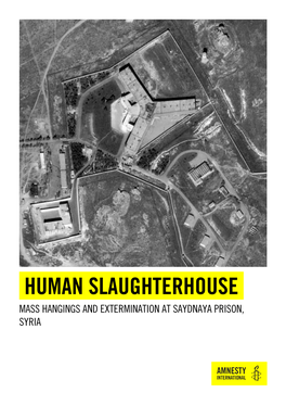 Human Slaughterhouse Mass Hangings and Extermination at Saydnaya Prison, Syria
