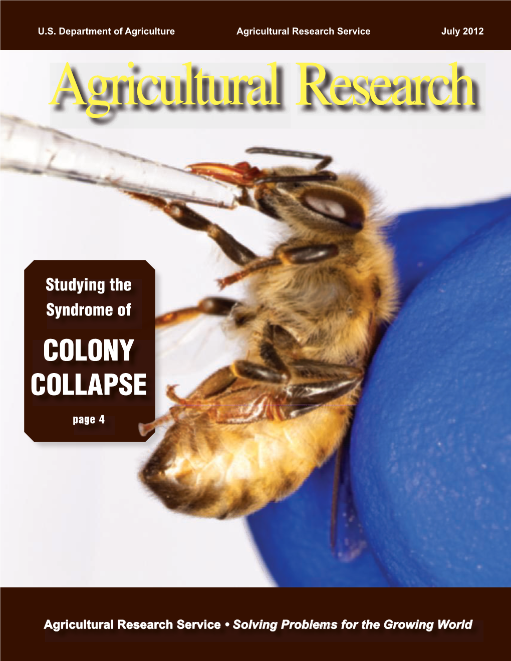 Colony Collapse