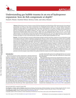 Understanding Gas Bubble Trauma in an Era of Hydropower Expansion: How Do Fish Compensate at Depth?