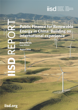 Public Finance for Renewable Energy in China: Building on International Experience