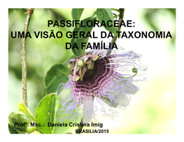 Passifloraceae: Uma Visão Geral Da Taxonomia Da Família