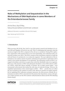 Roles of Methylation and Sequestration in the Mechanisms of DNA Replication in Some Members of the Enterobacteriaceae Family
