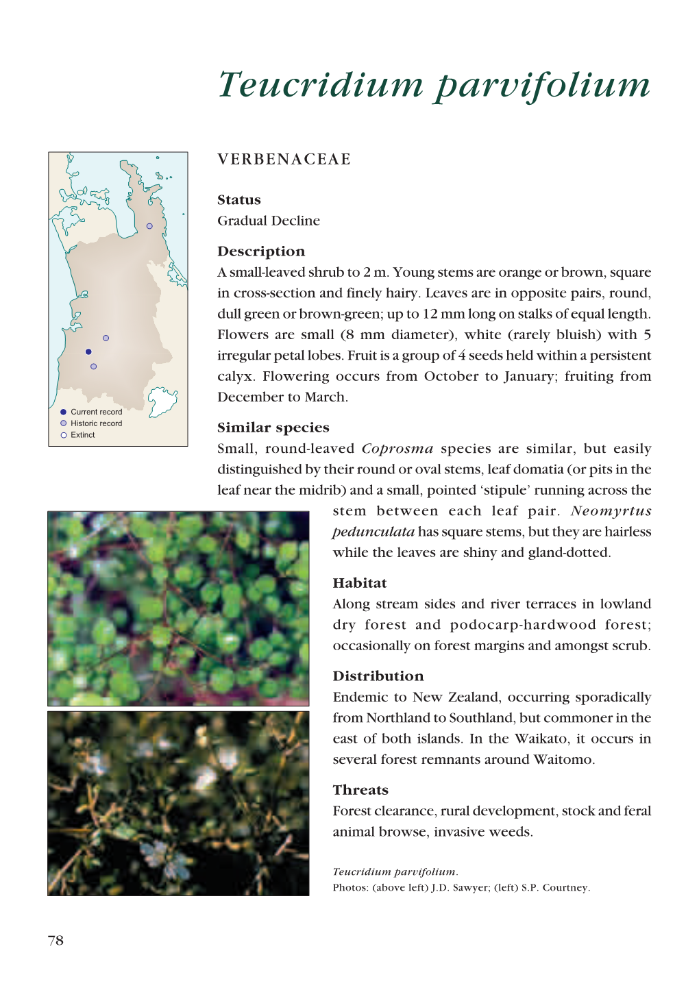 Threatened Plants of Waikato Conservancy