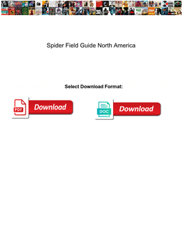 Spider Field Guide North America