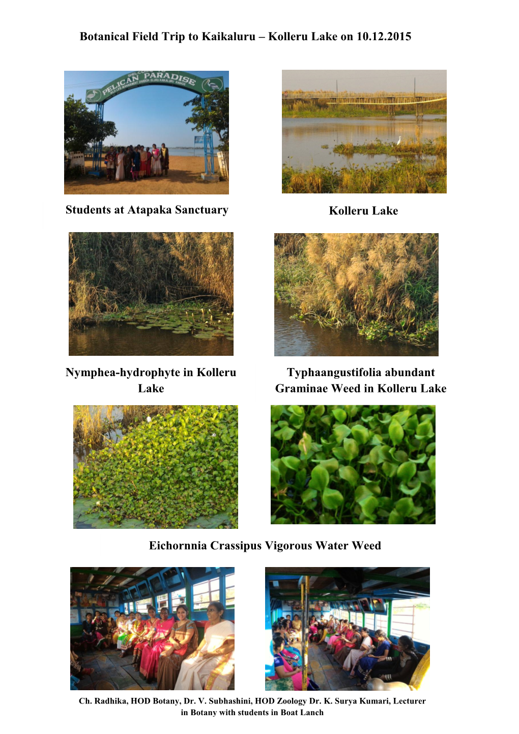 Botanical Field Trip to Kaikaluru – Kolleru Lake on 10.12.2015