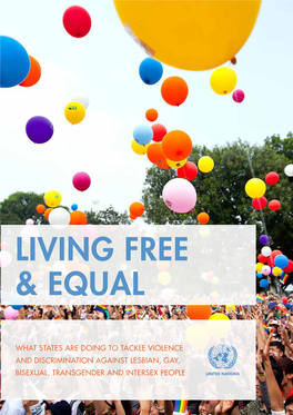 Living Free and Equal: What States Are Doing to Tackle