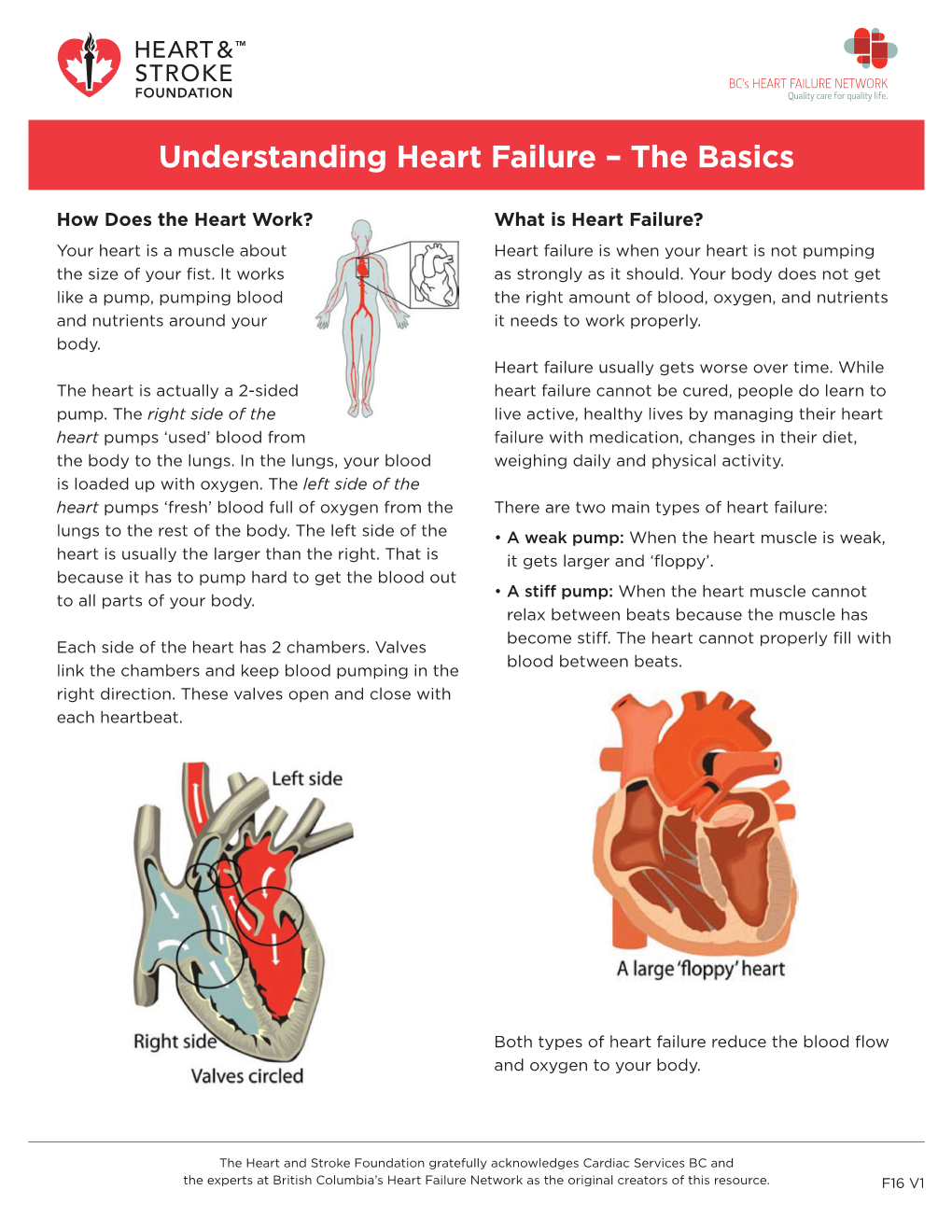 Understanding Heart Failure – the Basics