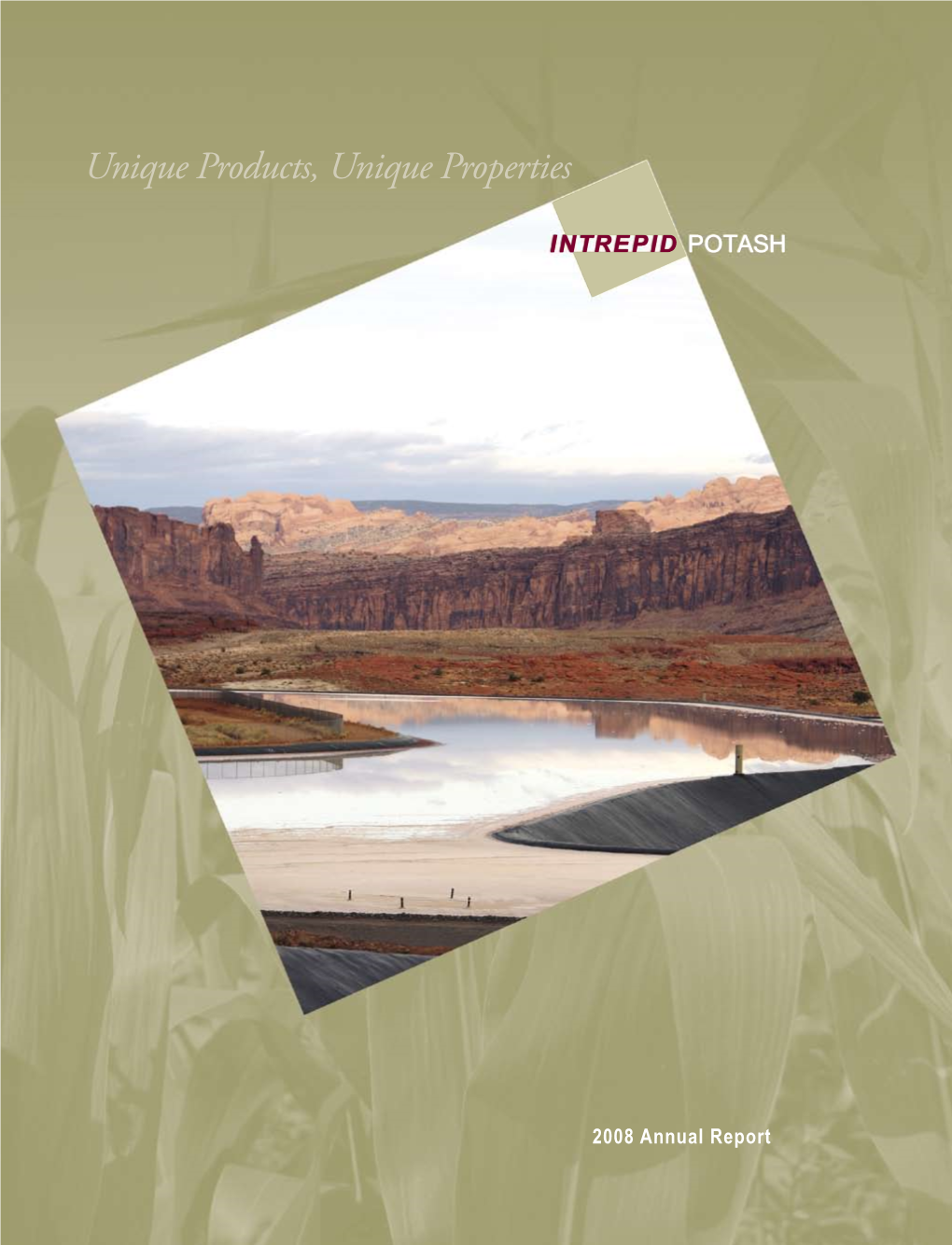 INTREPID POTASH 2008 Annual Report Intrepid Potash, Inc