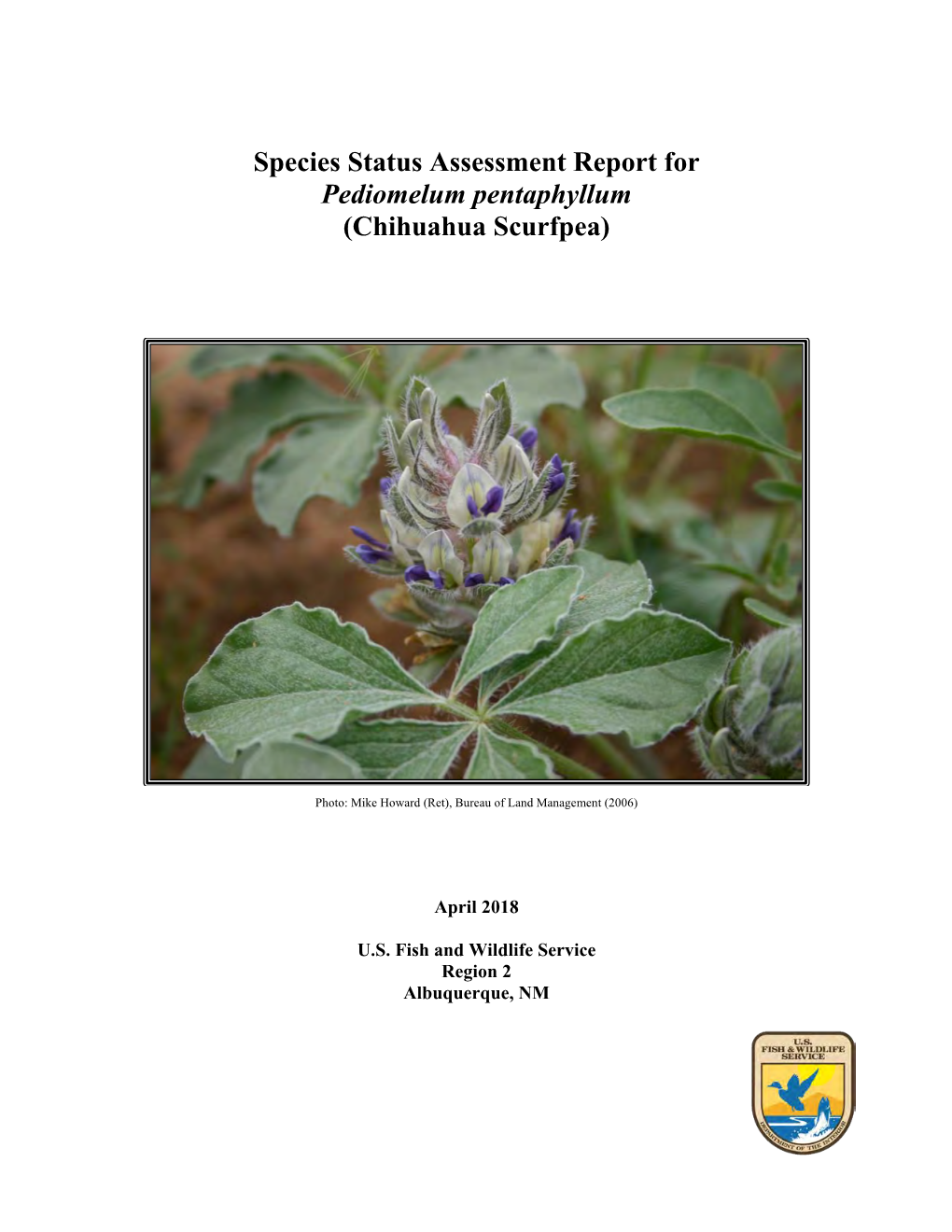 Species Status Assessment Report for Pediomelum Pentaphyllum (Chihuahua Scurfpea)