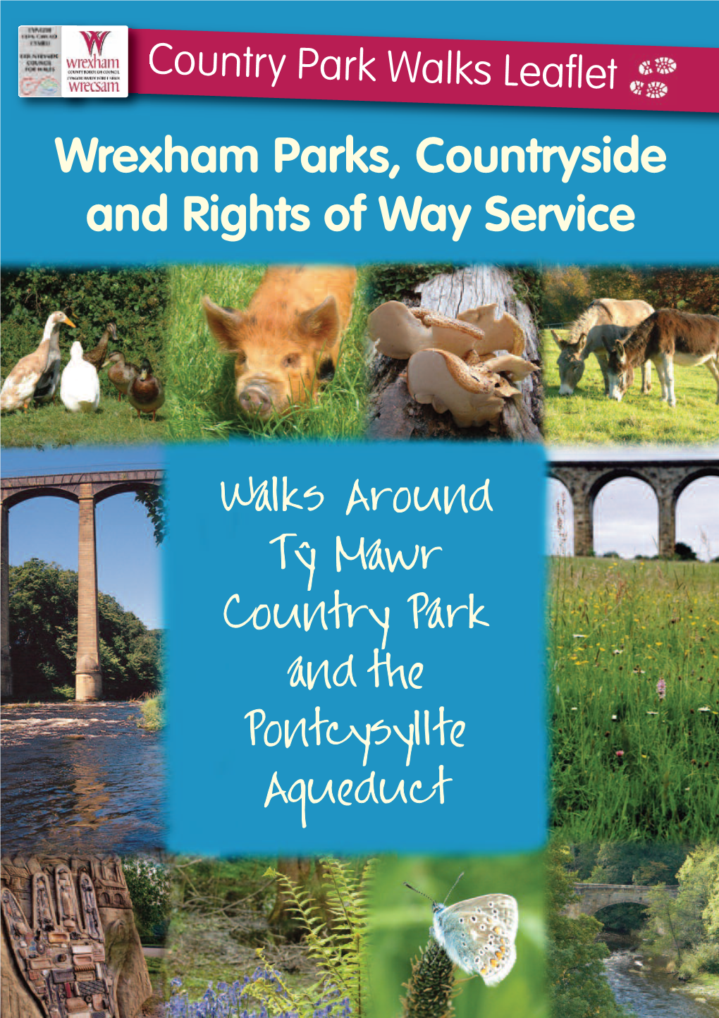 Walks Around Ty Mawr Country Park and the Pontcysyllte Aqueduct