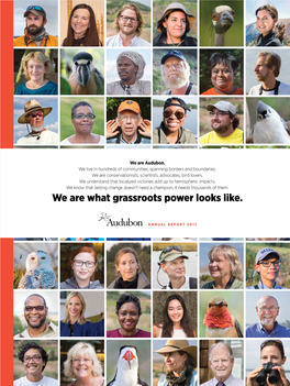 We Are What Grassroots Power Looks Like