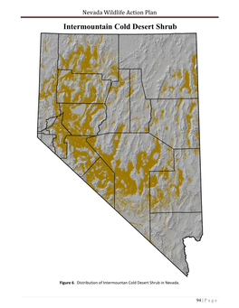 Sagebrush Somewhere Near the Tops of the Alluvial Fans Where the Primary Fault Lines of the Mountain Range Are Situated