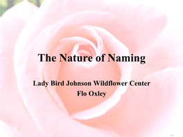 The Nature of Naming – Flo Oxley