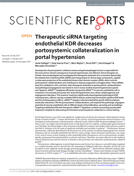 Therapeutic Sirna Targeting Endothelial KDR Decreases