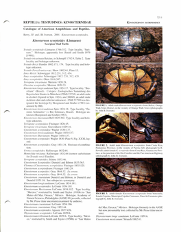 KINOSTERNONSCORPIOIDES Catalogue of American Amphibians and Reptiles