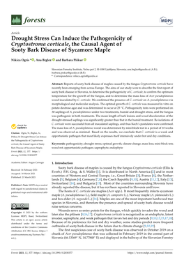 Drought Stress Can Induce the Pathogenicity of Cryptostroma Corticale, the Causal Agent of Sooty Bark Disease of Sycamore Maple