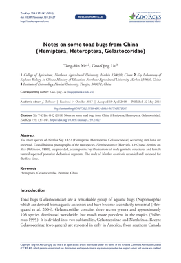 Hemiptera, Heteroptera, Gelastocoridae) 137 Doi: 10.3897/Zookeys.759.21627 RESEARCH ARTICLE Launched to Accelerate Biodiversity Research