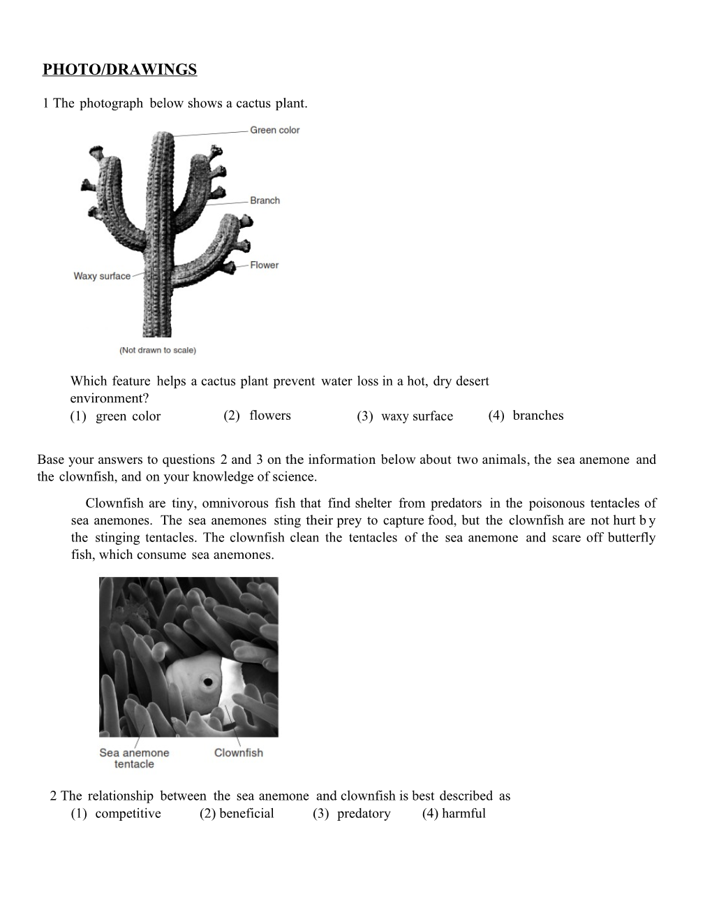 1 the Photograph Below Shows a Cactus Plant