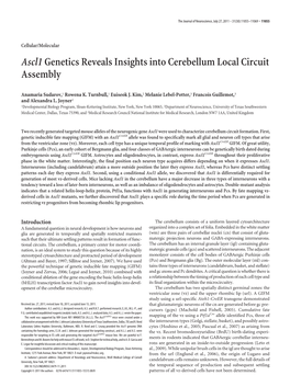 Ascl1genetics Reveals Insights Into Cerebellum Local Circuit Assembly