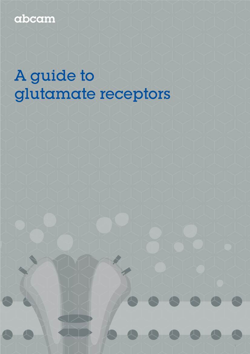 A Guide to Glutamate Receptors