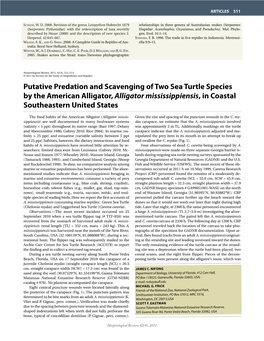 Putative Predation and Scavenging of Two Sea Turtle Species by the American Alligator, Alligator Mississippiensis, in Coastal Southeastern United States