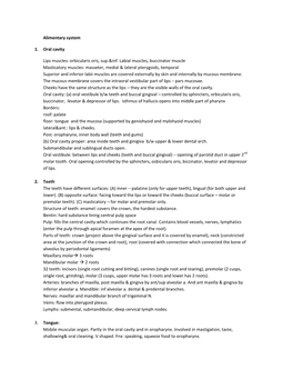 Alimentary System 1. Oral Cavity Lips Muscles