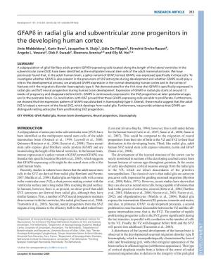 Gfapd in Radial Glia and Subventricular Zone Progenitors in the Developing Human Cortex Jinte Middeldorp1, Karin Boer2, Jacqueline A