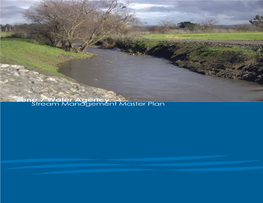 Managing Streams for Flood Control the Challenge