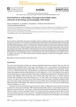 First Fossil Larvae of Berothidae (Neuroptera) from Baltic Amber,With