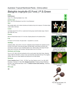 Baloghia Inophylla (G.Forst.) P.S.Green Family: Euphorbiaceae Green, P.S