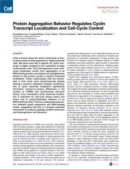 Protein Aggregation Behavior Regulates Cyclin Transcript Localization and Cell-Cycle Control