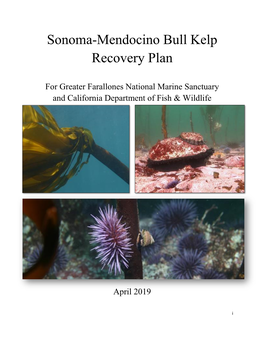 Sonoma-Mendocino Bull Kelp Recovery Plan