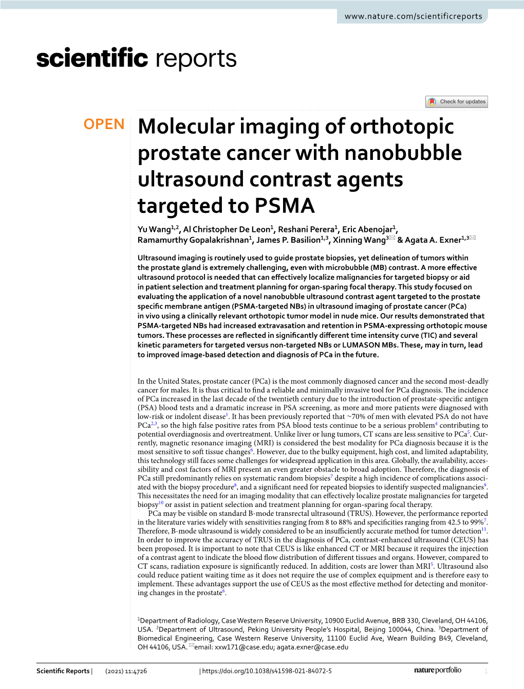 Molecular Imaging of Orthotopic Prostate Cancer with Nanobubble Ultrasound Contrast Agents Targeted to PSMA