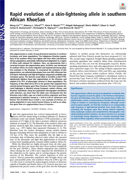 Rapid Evolution of a Skin-Lightening Allele in Southern African Khoesan