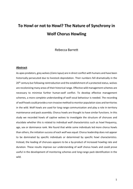 To Howl Or Not to Howl? the Nature of Synchrony in Wolf Chorus Howling