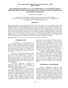 Sphaerirostris Winderi N. Sp. (Acanthocephala: Centrorhynchidae) from the House Crow (Corvus Splendens: Vieillot) (Aves: Corvidae) of Balochistan, Pakistan