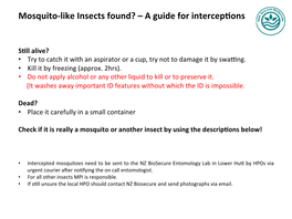 Mosquito-‐Like Insects Found? – a Guide for Intercepºons