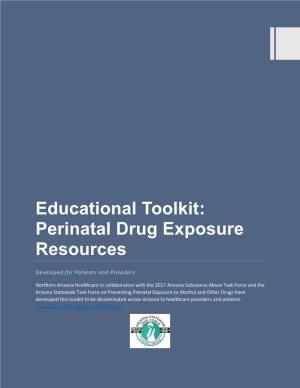 Educational Toolkit: Perinatal Drug Exposure Resources