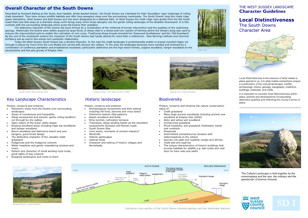 Overall Character of the South Downs the WEST SUSSEX LANDSCAPE