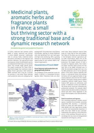 Medicinal Plants, Aromatic Herbs and Fragrance Plants in France