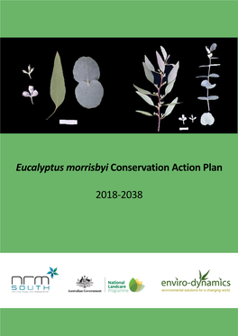 Eucalyptus Morrisbyi Conservation Action Plan