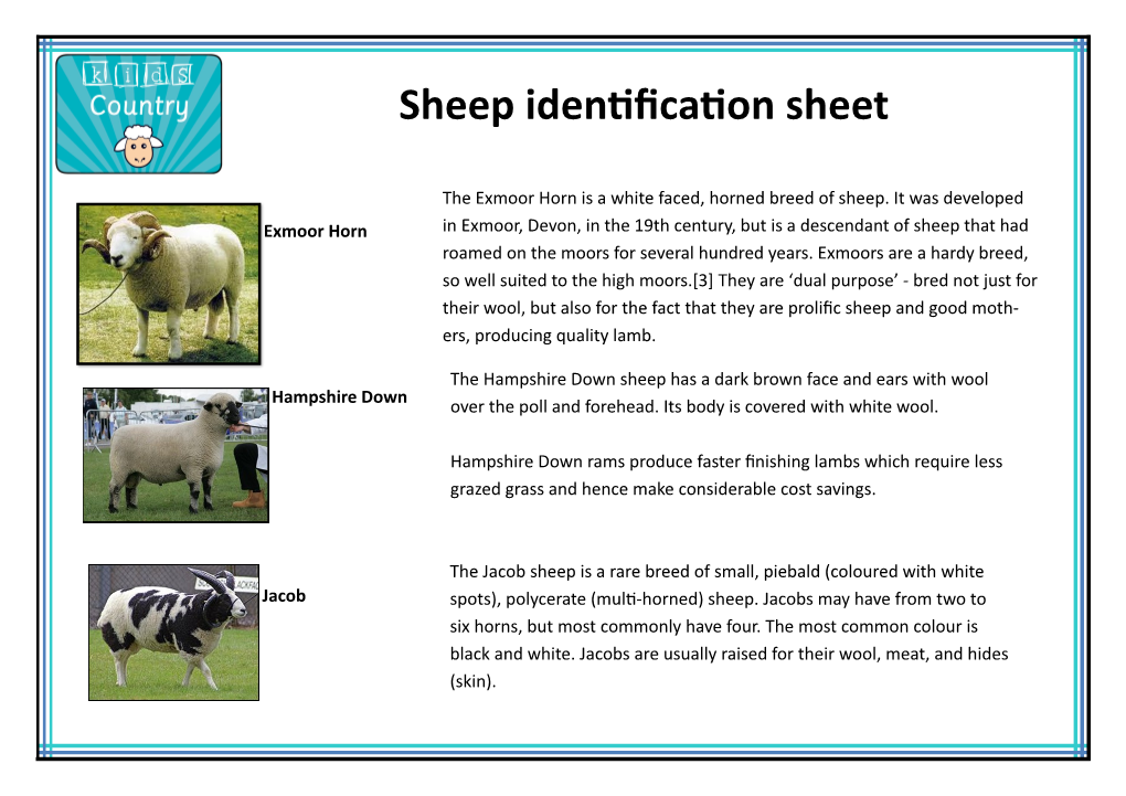 Sheep Identification Sheet