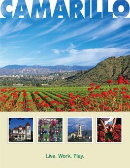 Discover Camarillo