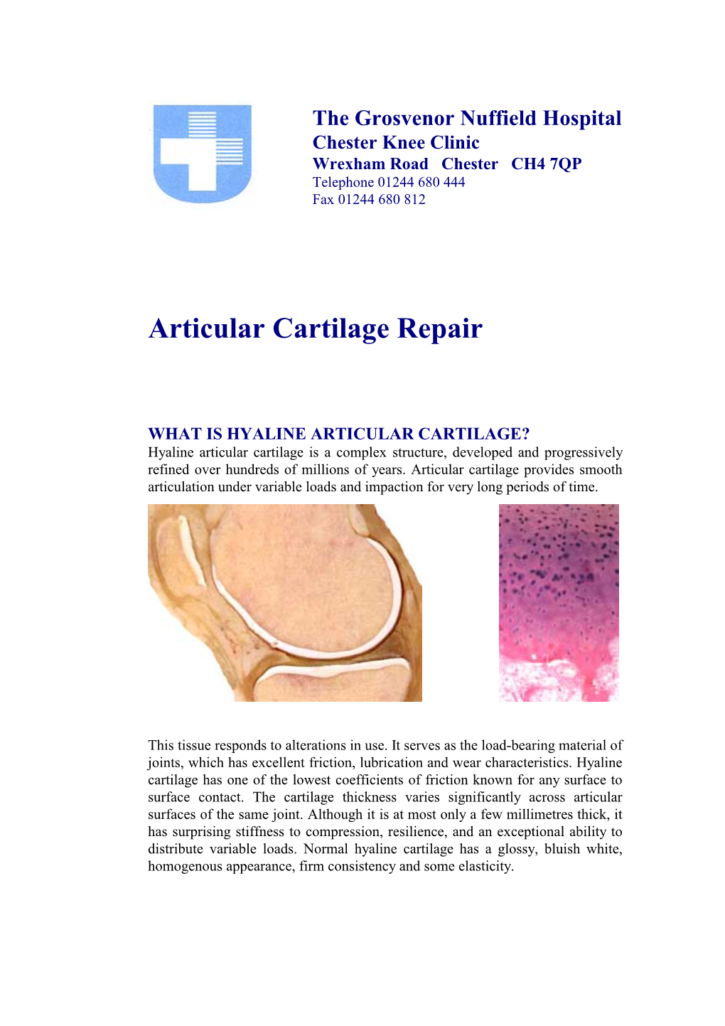 Articular Cartilage Repair