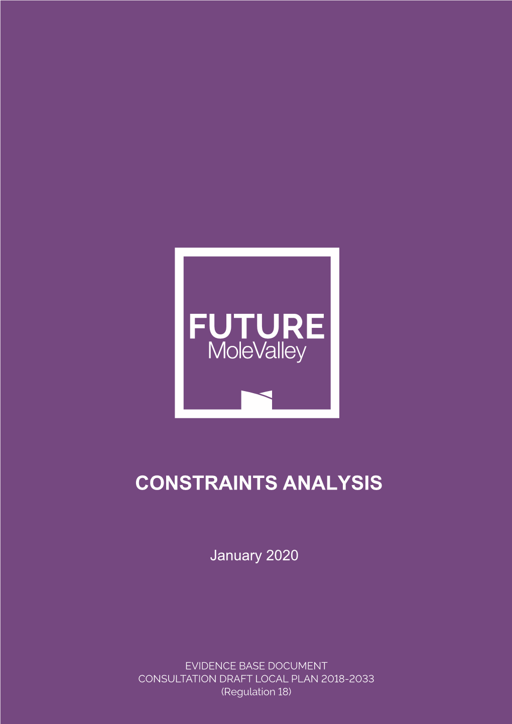 Constraints Analysis